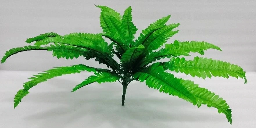 Ghoda Palm Bunch Big 6+6+12 57cm